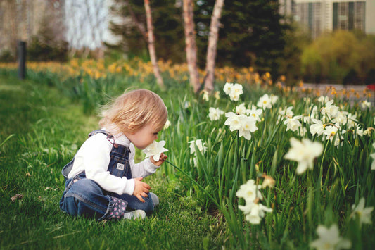 child smelling white flowers in a field