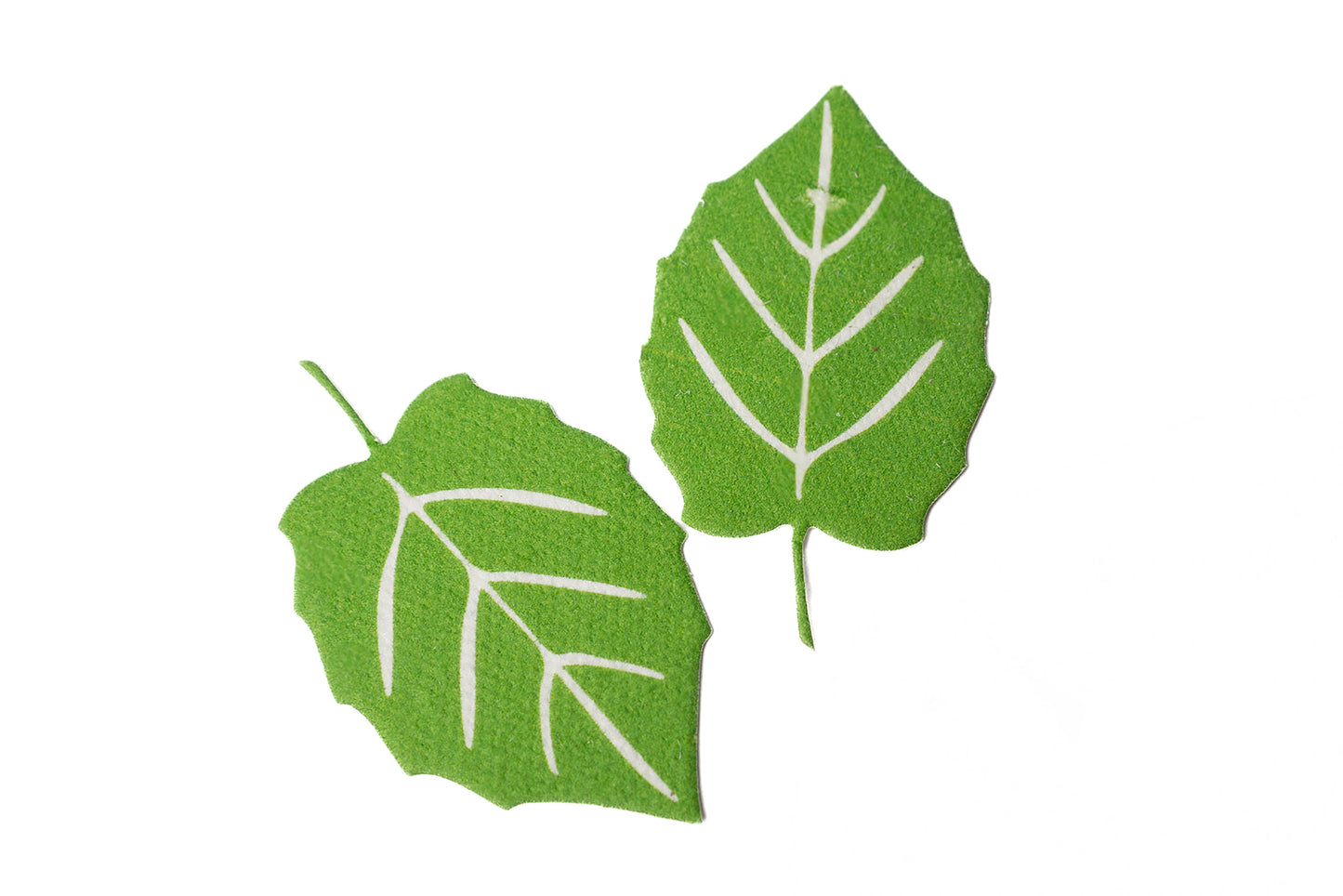 Plantable seed paper that resembles a green leaf