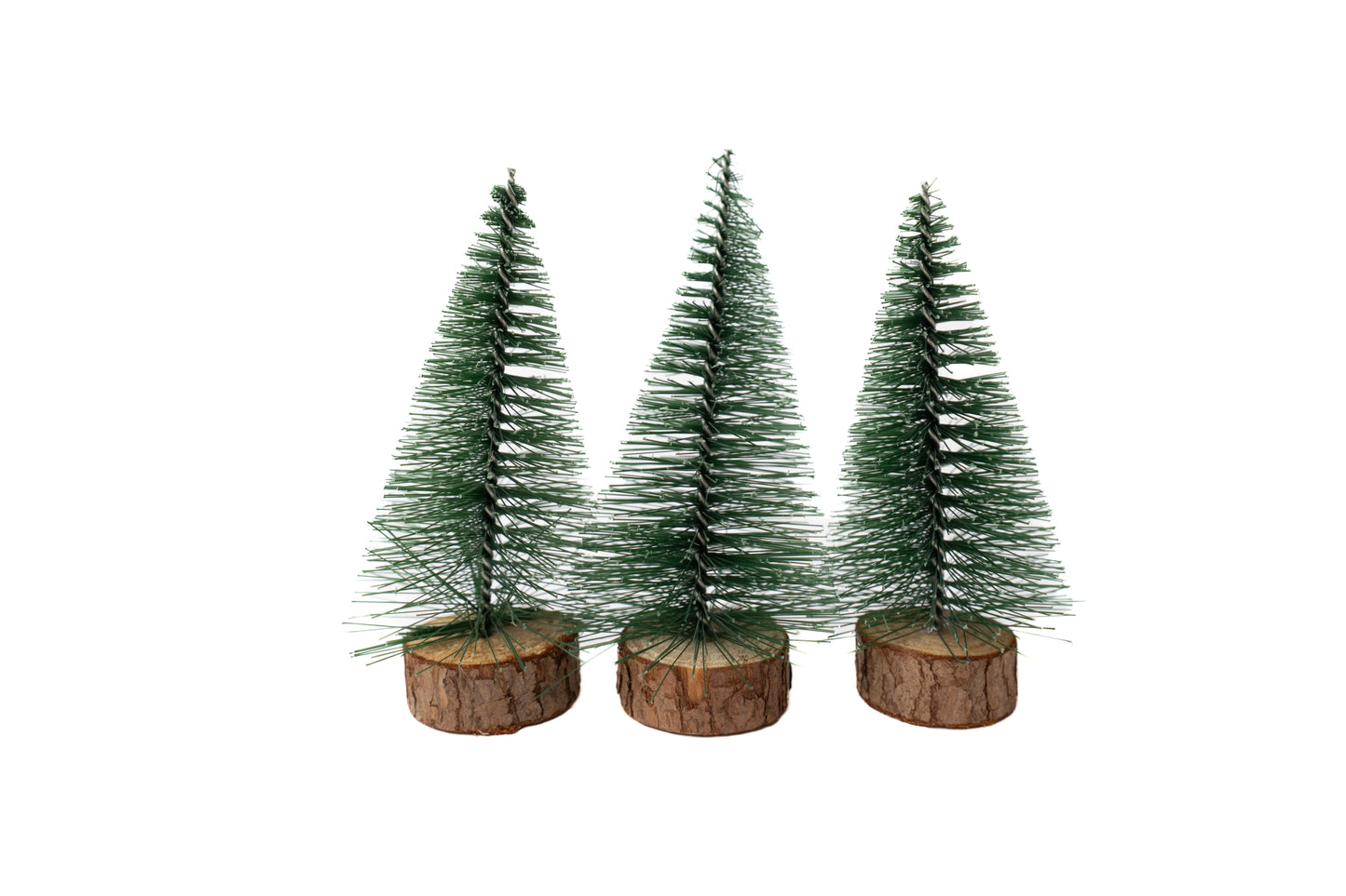 3 bottle brush trees