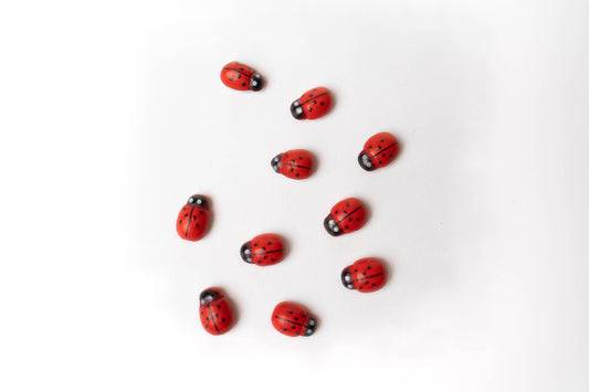 Wooden red ladybugs 10 total